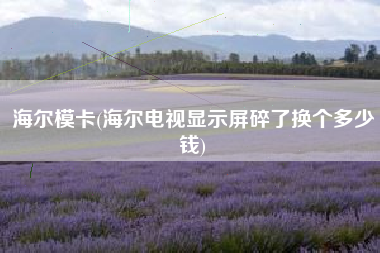 海尔模卡(海尔电视显示屏碎了换个多少钱)