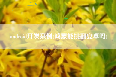 android开发案例(鸿蒙能挑翻安卓吗)