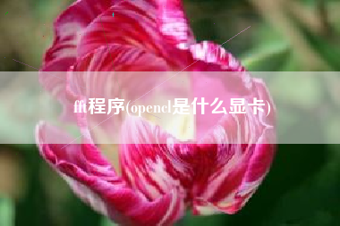 fft程序(opencl是什么显卡)
