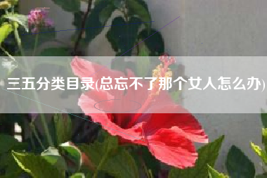 三五分类目录(总忘不了那个女人怎么办)