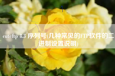 cuteftp 8.3 序列号(几种常见的FTP软件的二进制设置说明)