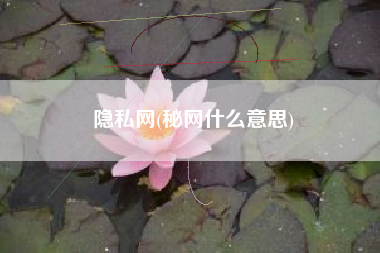 隐私网(秘网什么意思)
