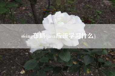 swing布局(java应该学习什么)