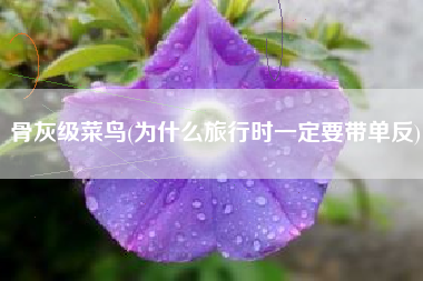 骨灰级菜鸟(为什么旅行时一定要带单反)