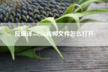 反编译swf(asv视频文件怎么打开)