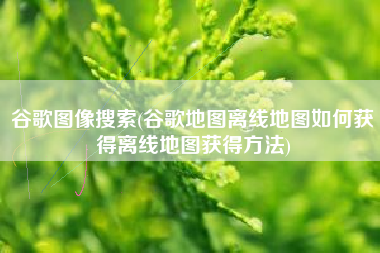 谷歌图像搜索(谷歌地图离线地图如何获得离线地图获得方法)