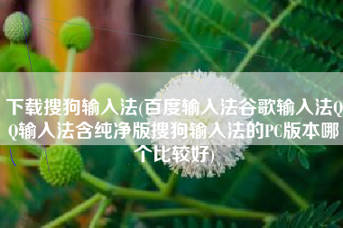 下载搜狗输入法(百度输入法谷歌输入法QQ输入法含纯净版搜狗输入法的PC版本哪个比较好)