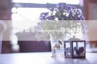 grep 命令(indesigngrep命令详解)