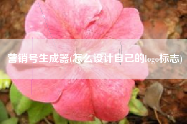 营销号生成器(怎么设计自己的logo标志)