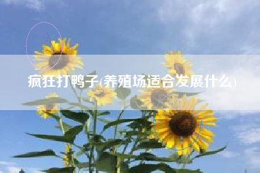 疯狂打鸭子(养殖场适合发展什么)