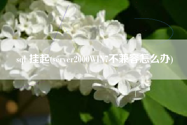 sql 挂起(server2000WIN7不兼容怎么办)