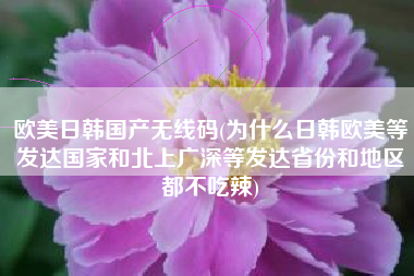 欧美日韩国产无线码(为什么日韩欧美等发达国家和北上广深等发达省份和地区都不吃辣)