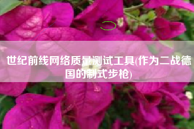 世纪前线网络质量测试工具(作为二战德国的制式步枪)