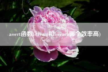 assert函数(stream和foreach哪个效率高)