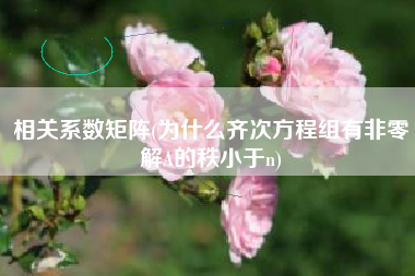 相关系数矩阵(为什么齐次方程组有非零解A的秩小于n)