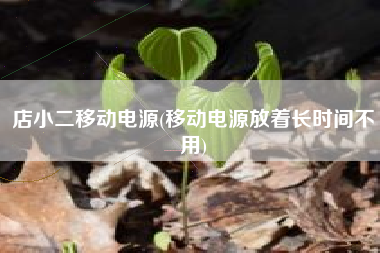 店小二移动电源(移动电源放着长时间不用)