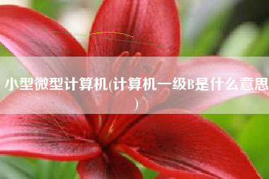 小型微型计算机(计算机一级B是什么意思)