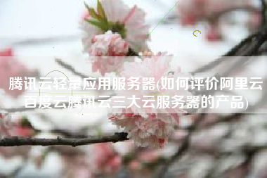 腾讯云轻量应用服务器(如何评价阿里云百度云腾讯云三大云服务器的产品)