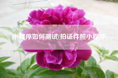 小程序如何测试(拍证件照小程序)
