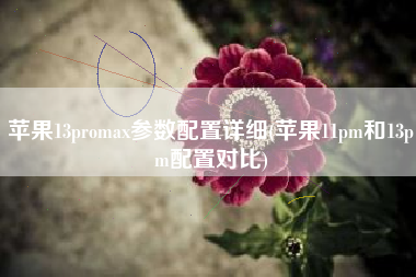 苹果13promax参数配置详细(苹果11pm和13pm配置对比)