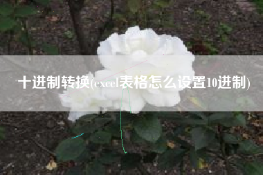 十进制转换(excel表格怎么设置10进制)