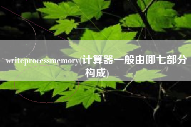 writeprocessmemory(计算器一般由哪七部分构成)
