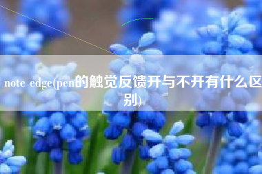 note edge(pen的触觉反馈开与不开有什么区别)