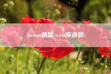 format函数(scanf原函数)