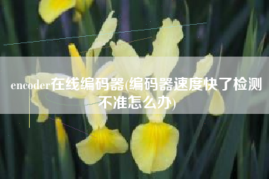 encoder在线编码器(编码器速度快了检测不准怎么办)