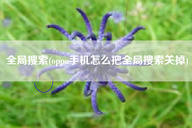 全局搜索(oppo手机怎么把全局搜索关掉)