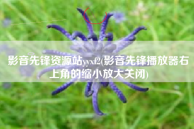影音先锋资源站yyxf2(影音先锋播放器右上角的缩小放大关闭)