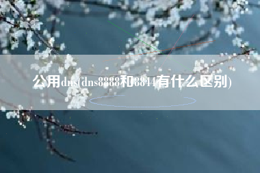 公用dns(dns8888和8844有什么区别)