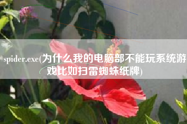spider.exe(为什么我的电脑部不能玩系统游戏比如扫雷蜘蛛纸牌)