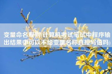 变量命名规则(计算机考试笔试中程序输出结果中可以不给变量名称直接写值吗)