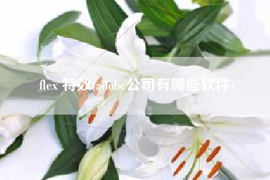 flex 特效(adobe公司有哪些软件)
