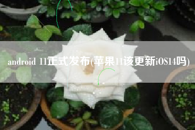 android 11正式发布(苹果11该更新iOS14吗)