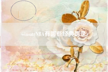 winsat(NBA有哪些经典语录)