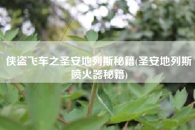 侠盗飞车之圣安地列斯秘籍(圣安地列斯喷火器秘籍)