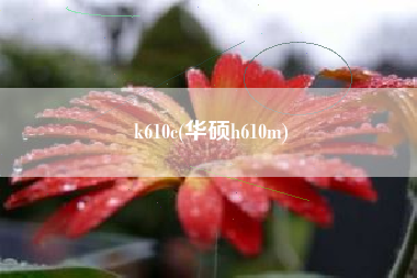 k610c(华硕h610m)