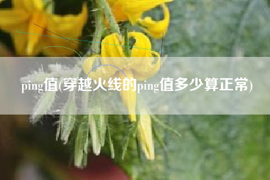 ping值(穿越火线的ping值多少算正常)