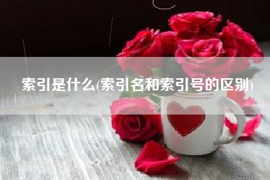 索引是什么(索引名和索引号的区别)