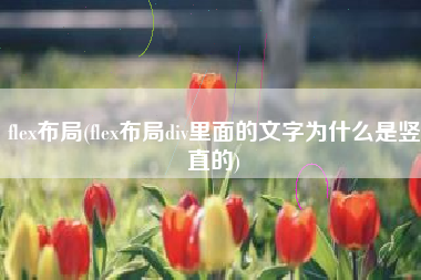 flex布局(flex布局div里面的文字为什么是竖直的)