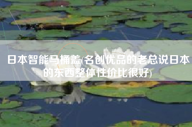 日本智能马桶盖(名创优品的老总说日本的东西整体性价比很好)