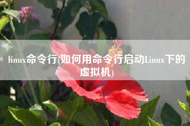 linux命令行(如何用命令行启动Linux下的虚拟机)