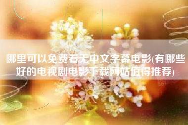 哪里可以免费看无中文字幕电影(有哪些好的电视剧电影下载网站值得推荐)