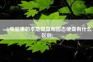 ssd(电脑里的本地磁盘和固态硬盘有什么区别)