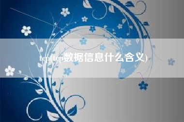 tcp(tcp数据信息什么含义)