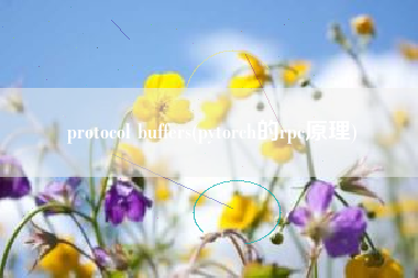 详细阅读:protocol buffers(pytorch的rpc原理) protocol buffers(pytorch的rpc原理)