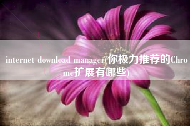 internet download manager(你极力推荐的Chrome扩展有哪些)