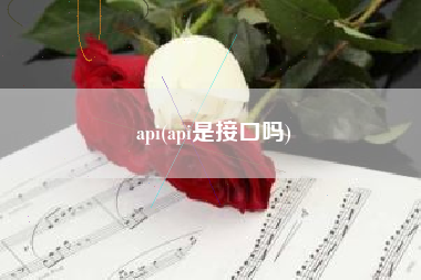 api(api是接口吗)